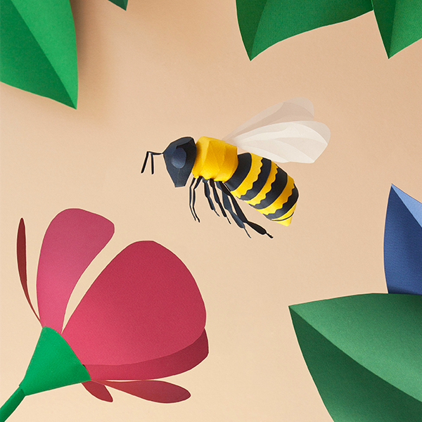 Bee