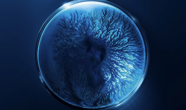 Biotherm - Skincare Diagnosis (UI)