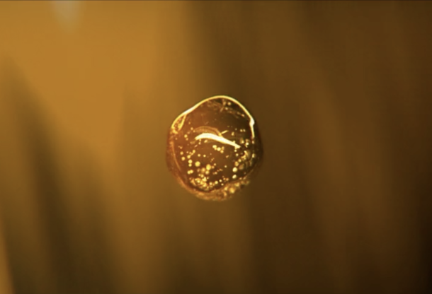 Cartier Déclaration