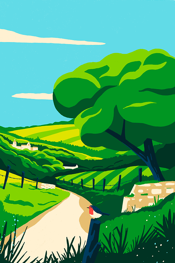 Dans ma campagne