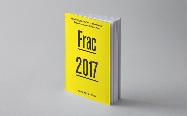 Frac Paca - activity report 2017