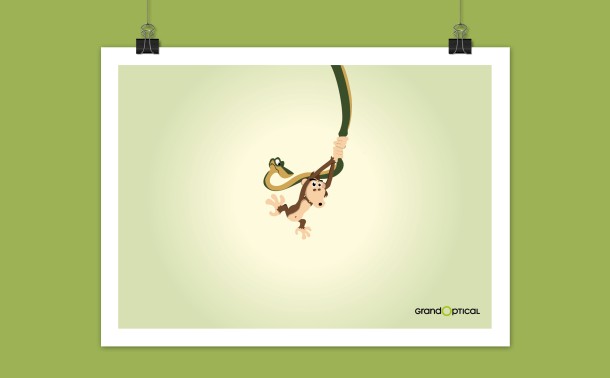 Grand Optical