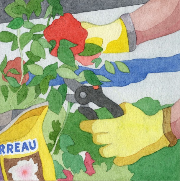Horticulture