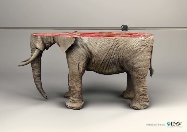 Ifaw / 3D Printer