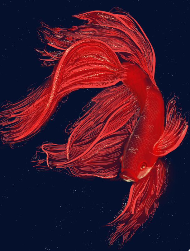 Illustrations