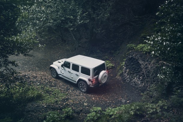 JEEP WRANGLER FOREST