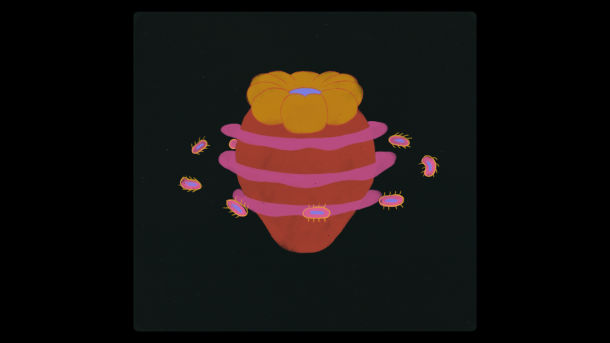 Kaitlyn Aurelia Smith