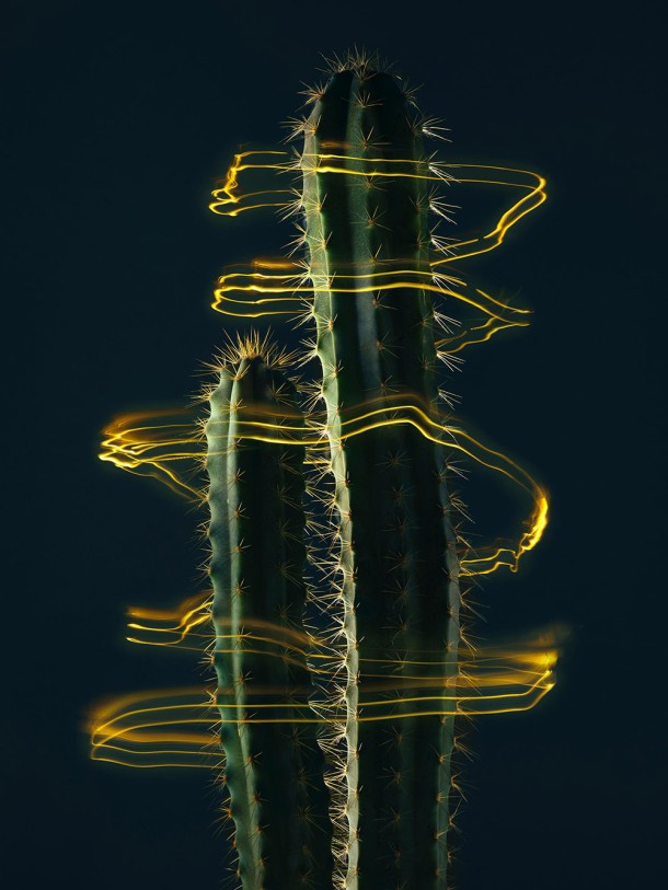 LIGHT
