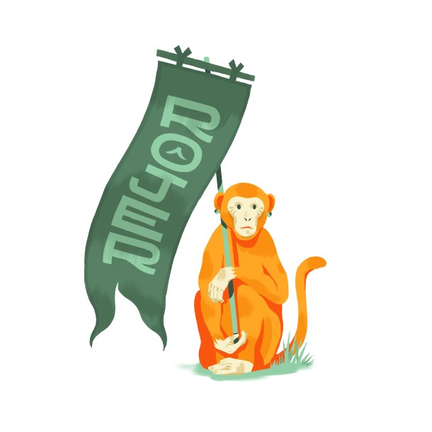 Monkey