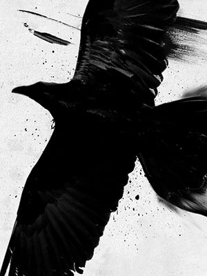Noval Black - Trailer
