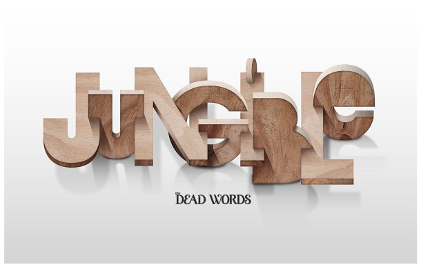 JUNGIBLE - Dead Word Project