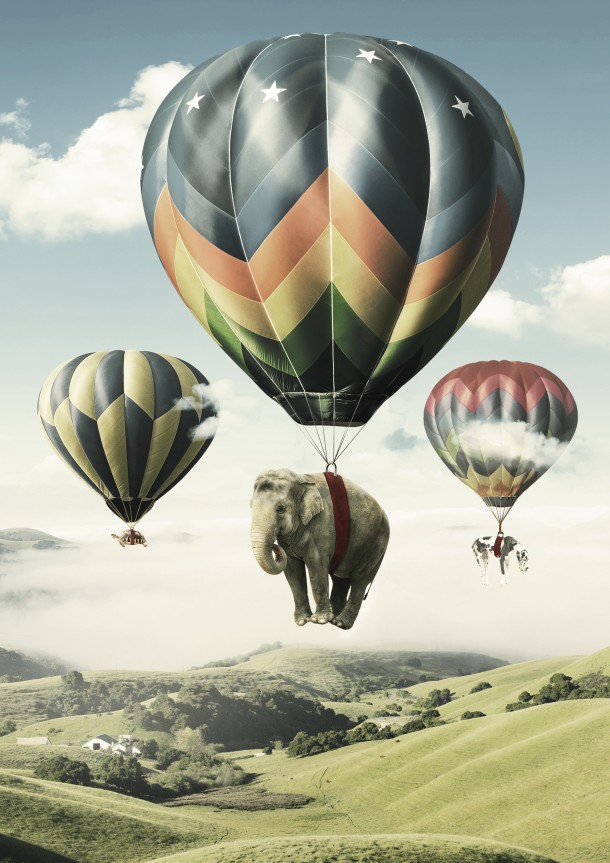Eléphant