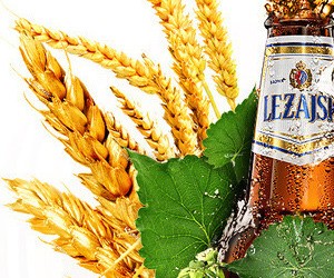Lezajsk Beer