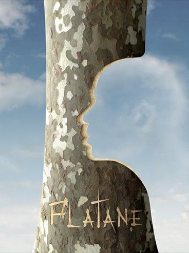 Série Platane