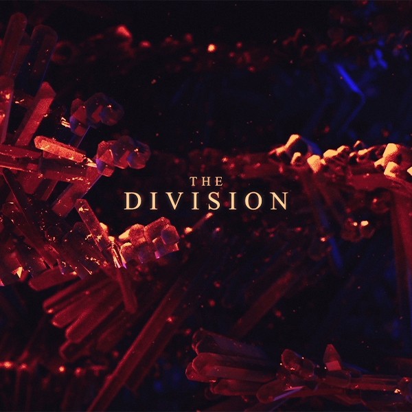 THE DIVISION