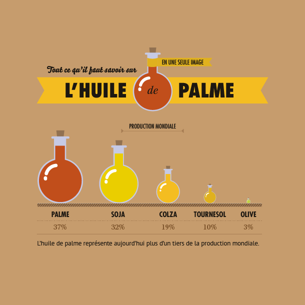 Tout ce qu’il faut savoir sur l’huile de palme