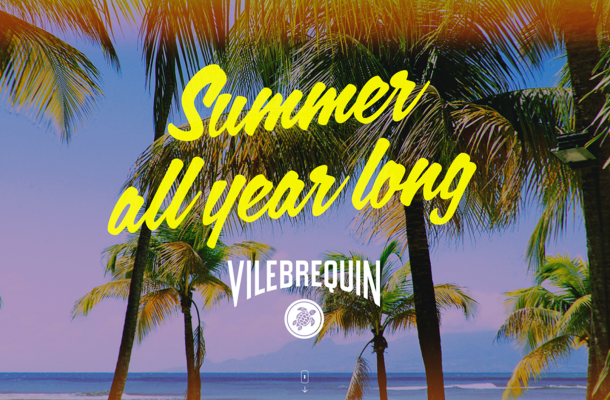 Vilebrequin
