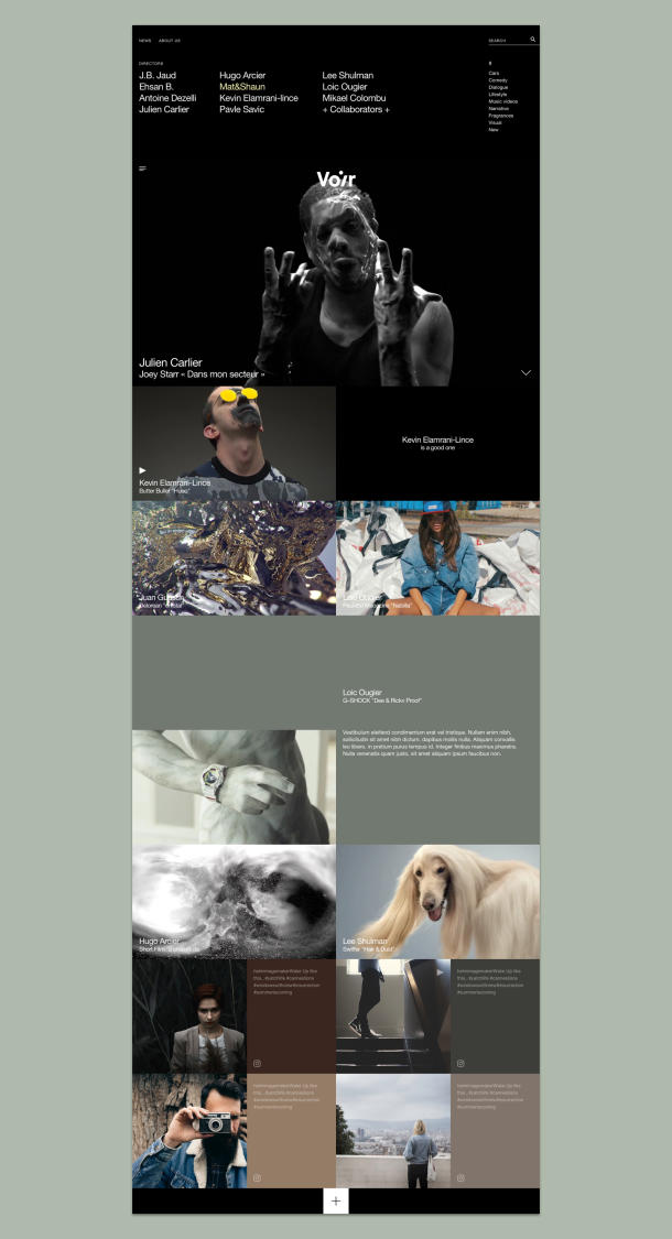 Voir pictures