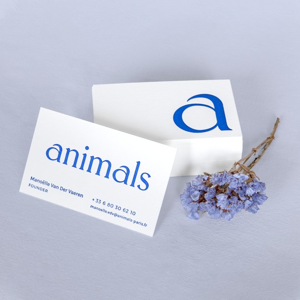 Animals