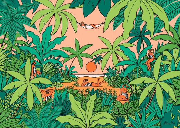 Cabaïa x Alice Des