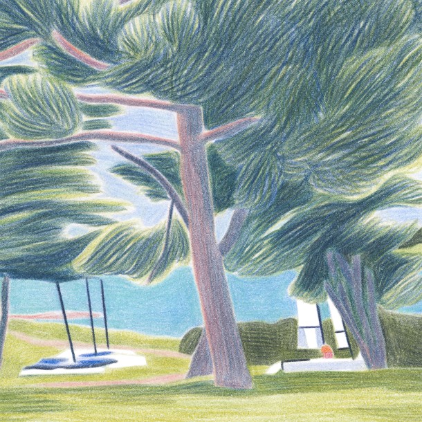 The catamarans
